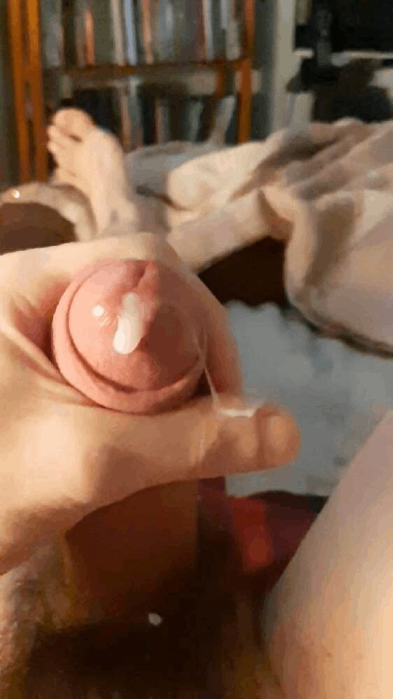 Cock15
 #99061709