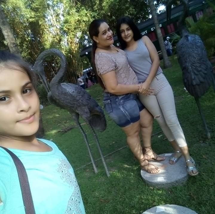 Craving Images #91752486