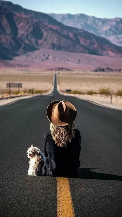 Into The West 45 #93031294