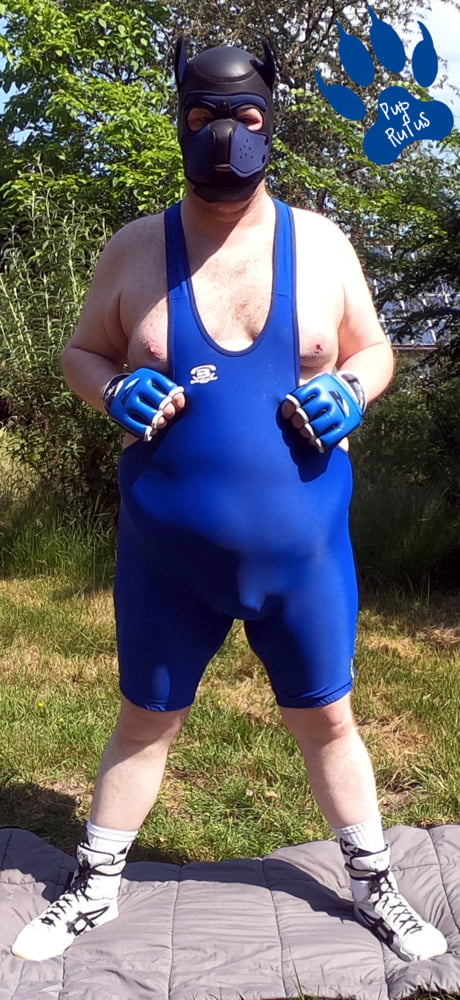 Pup relaxing in wrestling singlet #107022282