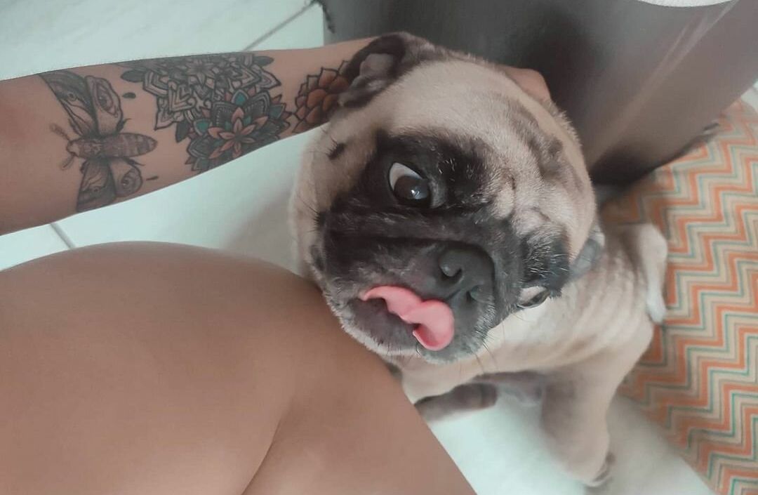 Fabiola Delfim nackt #108663362