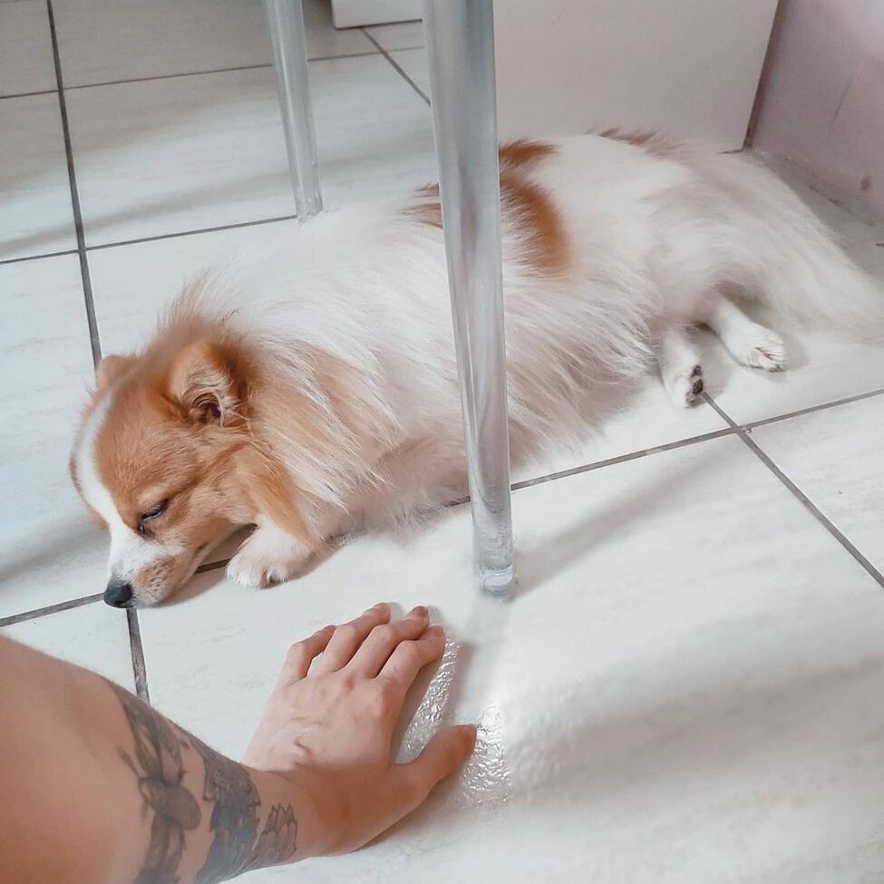 Fabiola Delfim nackt #108663392