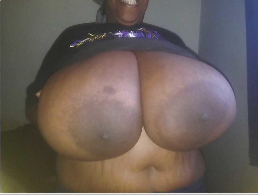 Black Series 01: From MILF to GILF with Matures in between #102653913