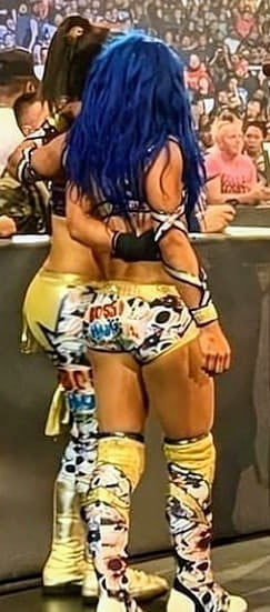 WWE Sasha Banks dauergeile Boss bitch #89828927