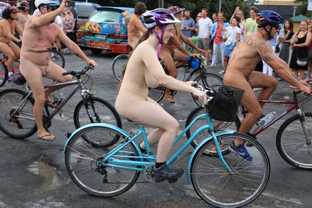 Dicktittige Euterkuehe auf dem Fahrrad #84805840