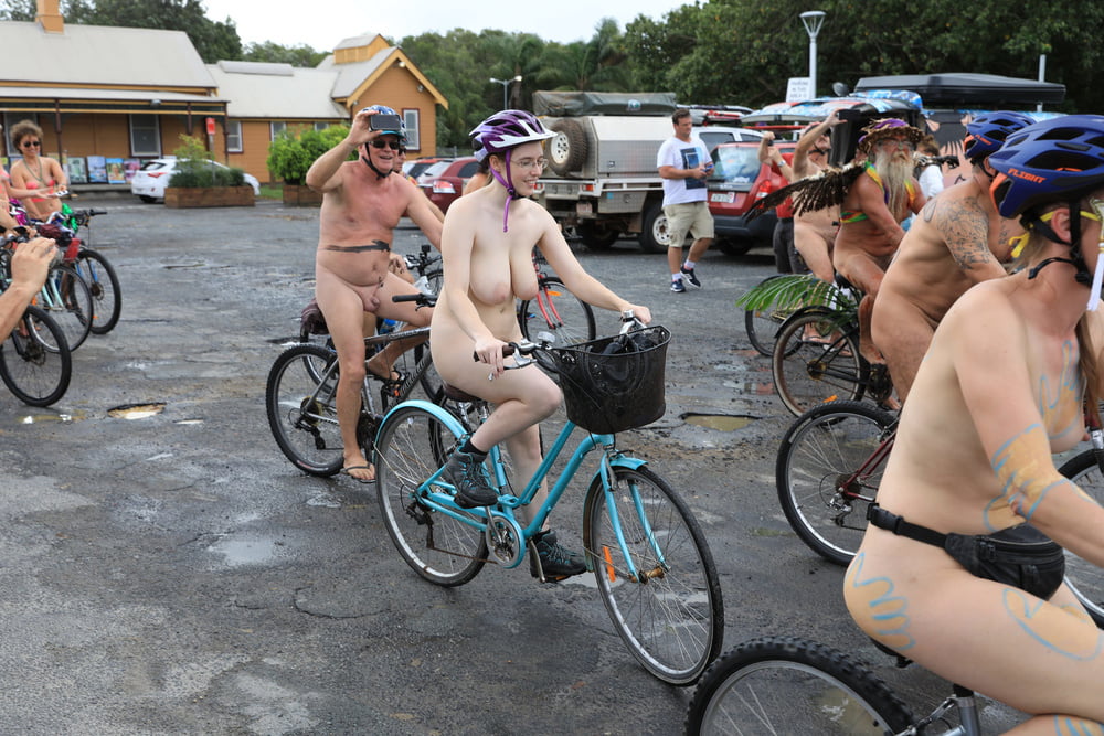 Dicktittige Euterkuehe auf dem Fahrrad #84806196