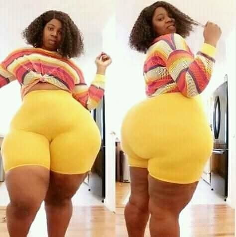Gawd Dayum 11 #98656208