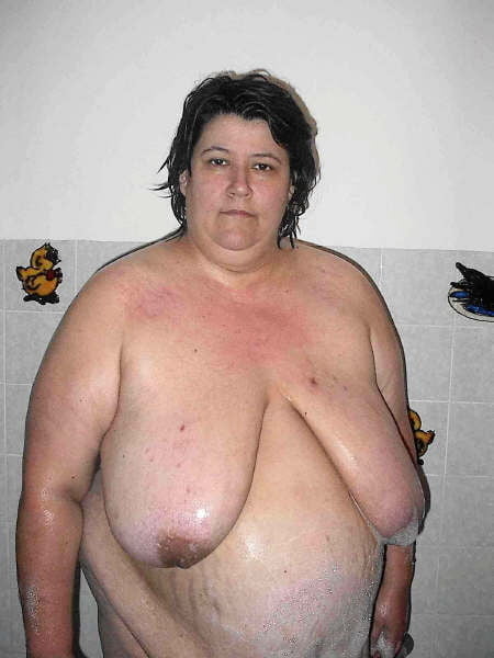 Cerdas culonas deliciosas #97197234