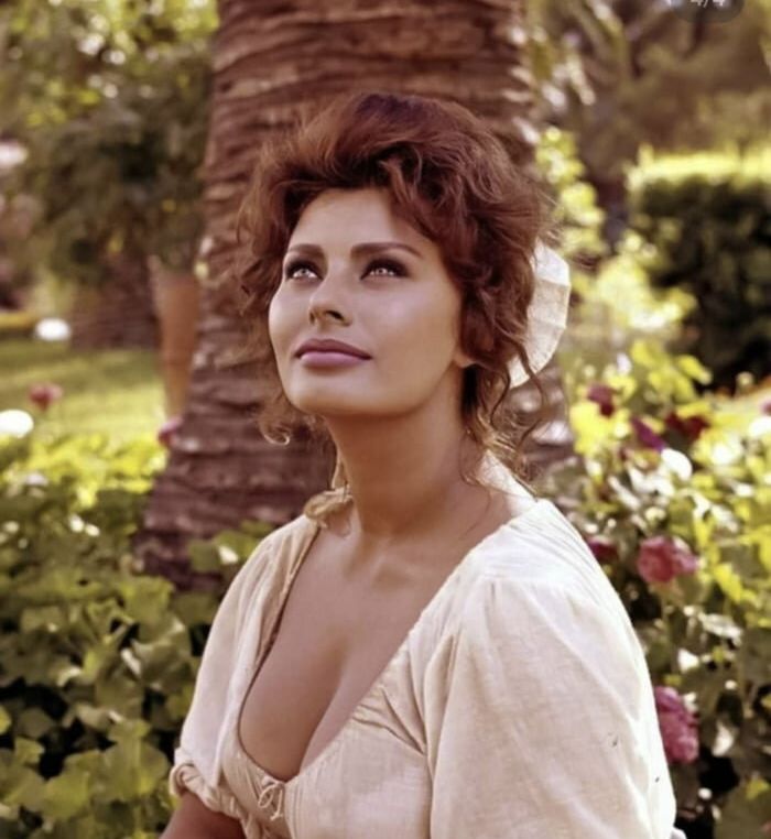Sophia Loren nackt #108448835