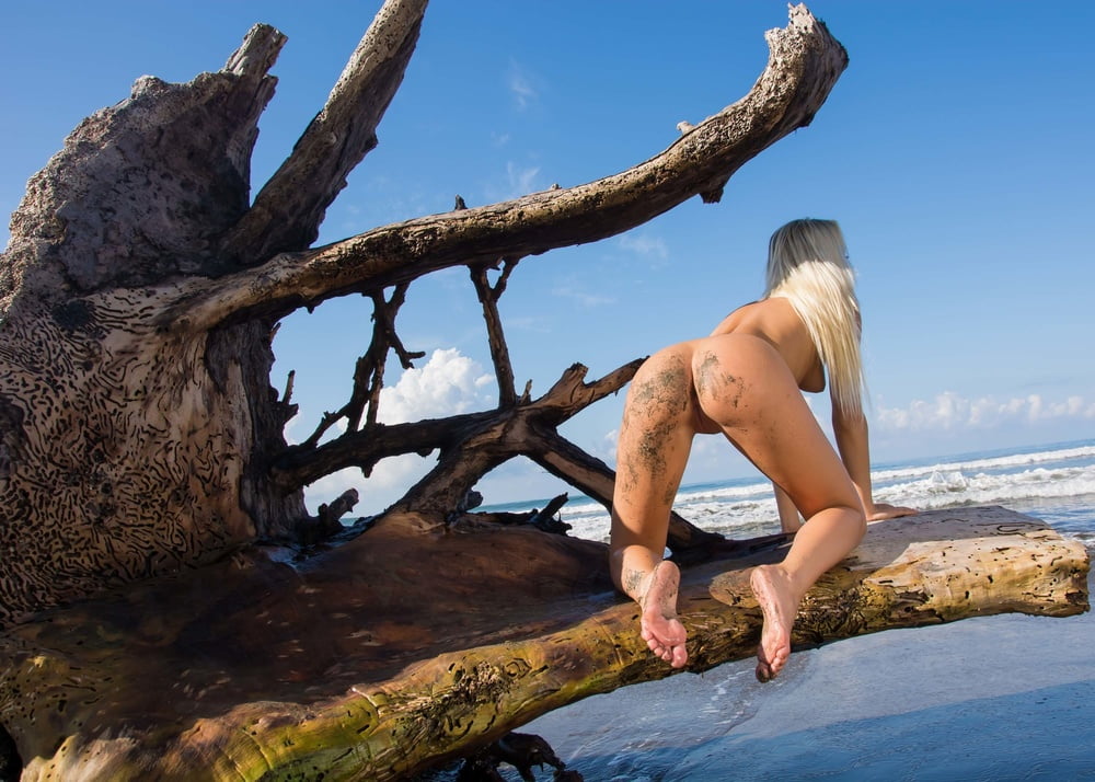 Tree Huggers 386 #88099826