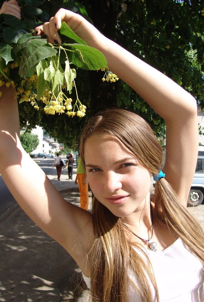 Yummy Pie 100 #91652304