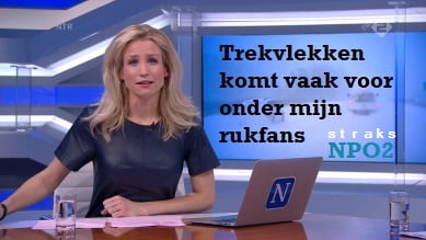 Dionne Stax - Dutch Presenter 6 #105164660