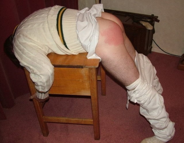 先生の部屋はいつも賑やかです。
 #104196045