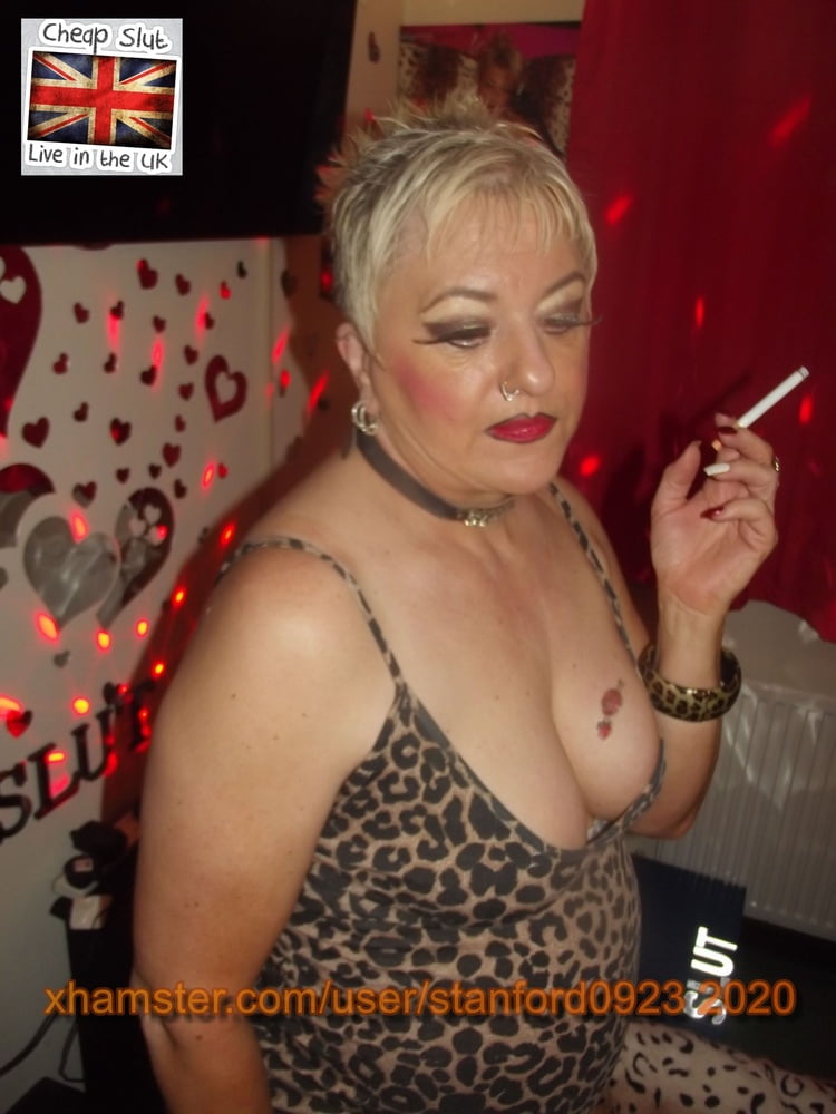 Zorra barata 2020
 #106672601