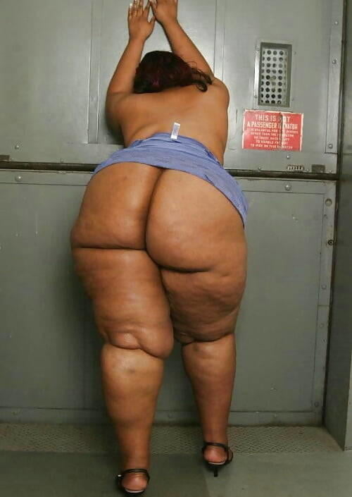 Bbw y ssbbw
 #90881639