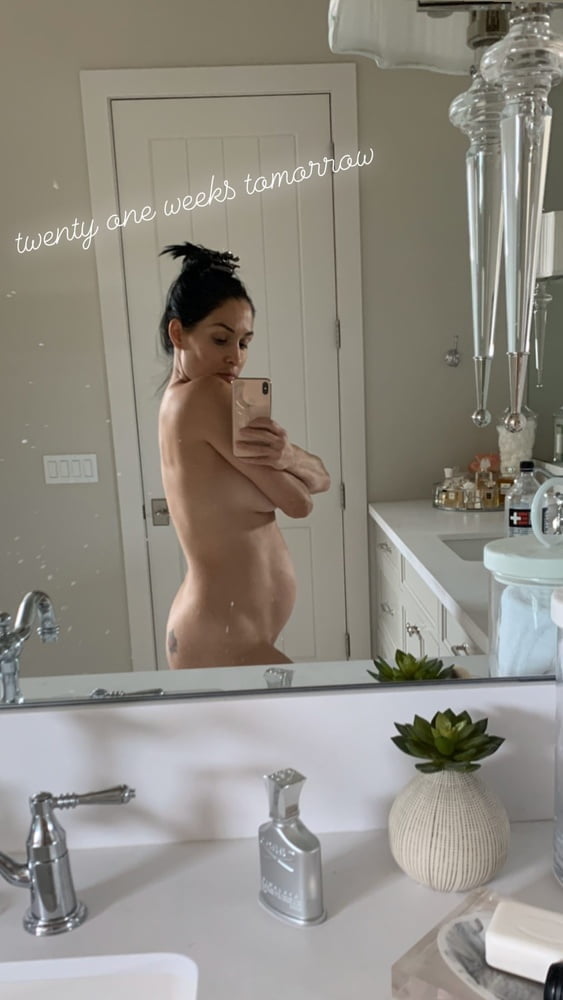 Pregnant Bella Twins (2020) #95388268