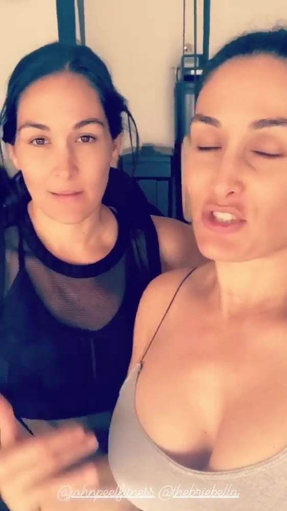 Pregnant Bella Twins (2020) #95388271