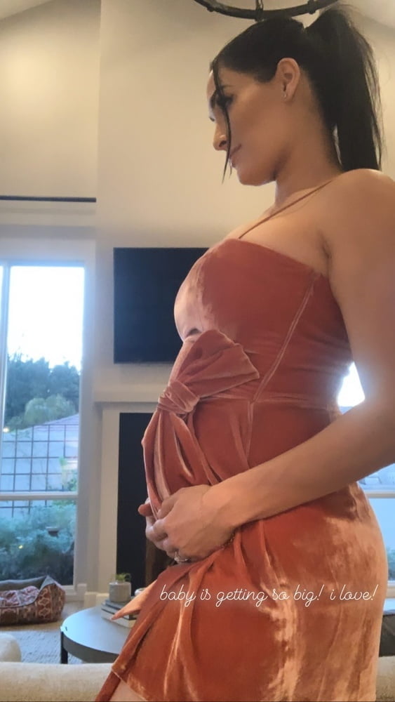 Pregnant Bella Twins (2020) #95388278
