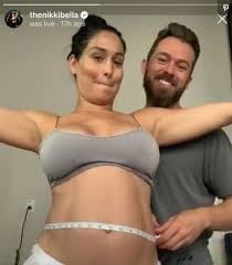 Pregnant Bella Twins (2020) #95388308