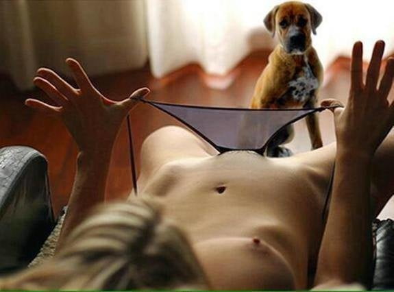 Cosas diversas
 #98729680