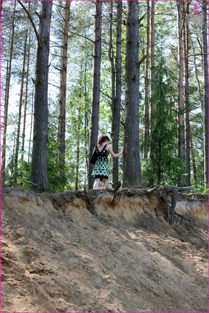 ネイチャーコール
 #101062622