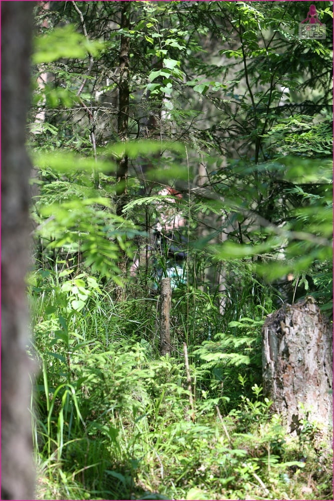 ネイチャーコール
 #101062829