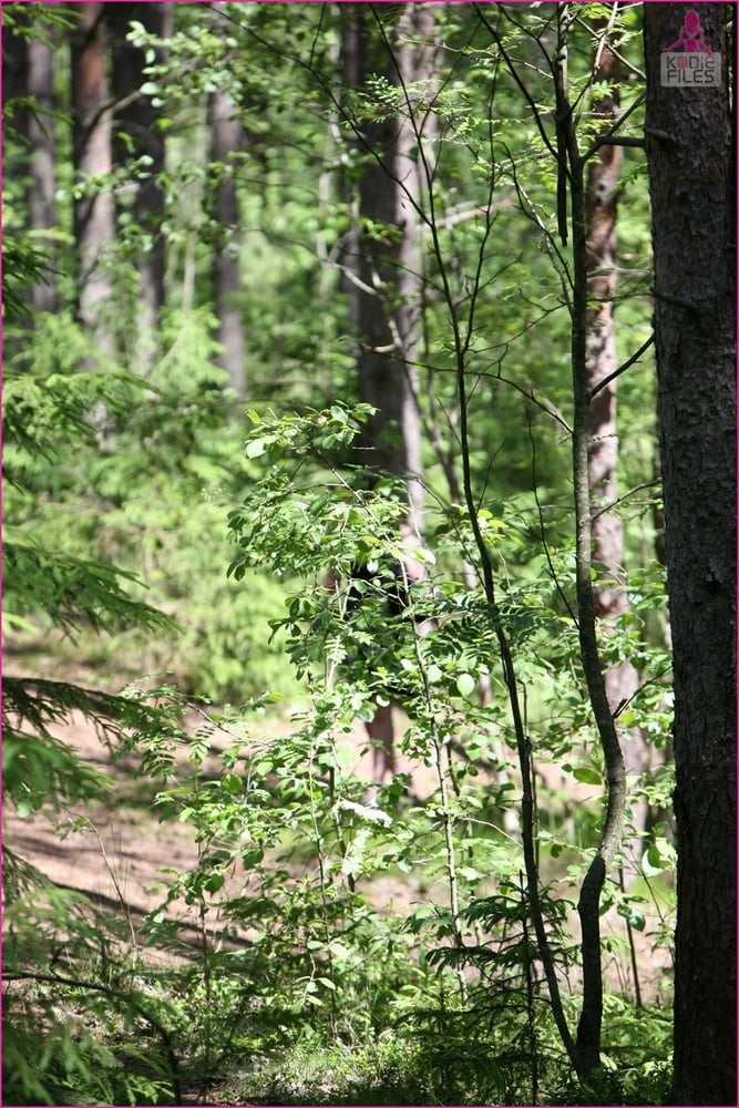 ネイチャーコール
 #101062834