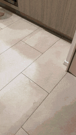 Tetas grandes y culo grande 31! gifs
 #97564228