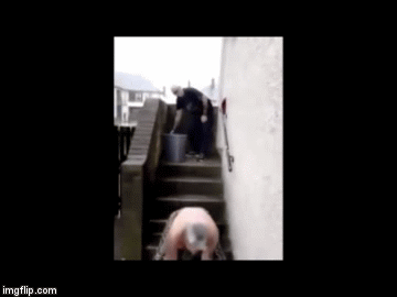 Erstaunliche Kurven (gif)
 #101808041