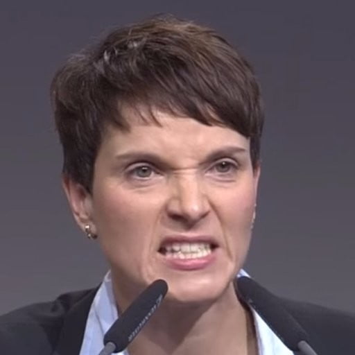 Deutsche Politikerin frauke petry
 #93215176