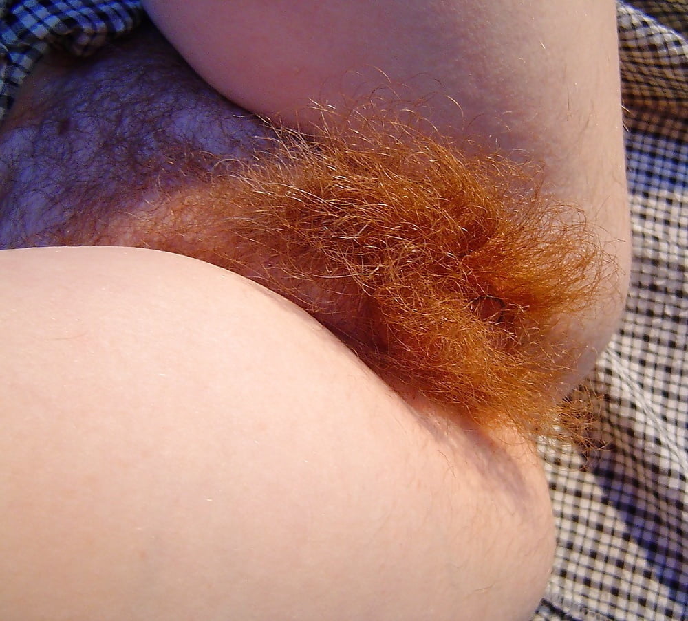 Bonnes chattes poilues (vol.7)  Hairy cunt pussy #105997442