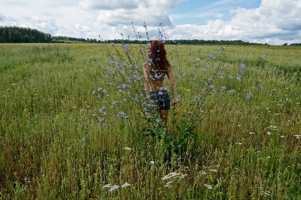 In spring Field #107256785