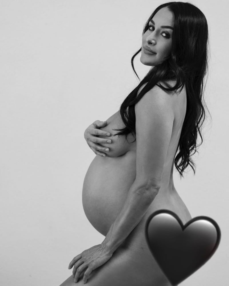 Nikki and Brie Bella nude pregnancy photoshoot #90859057