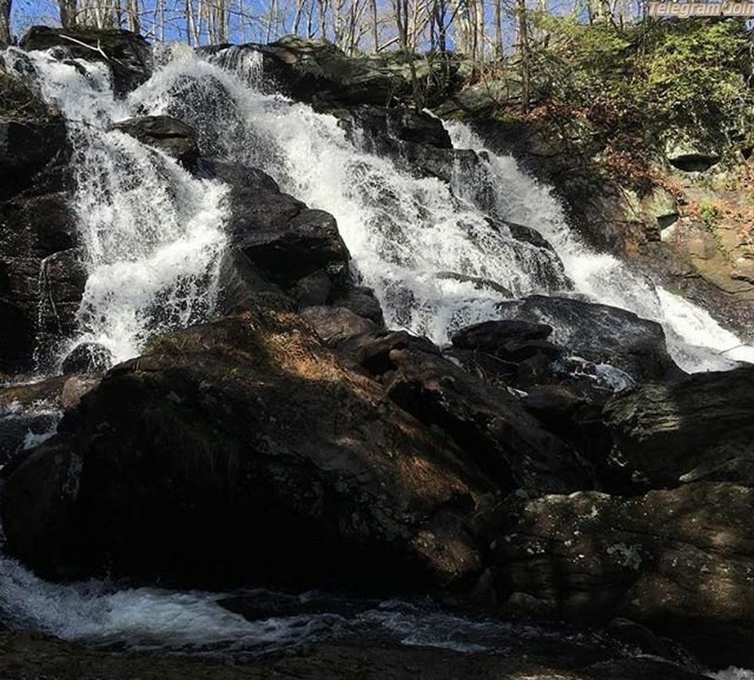 Veronica Wilson desnuda #108668147