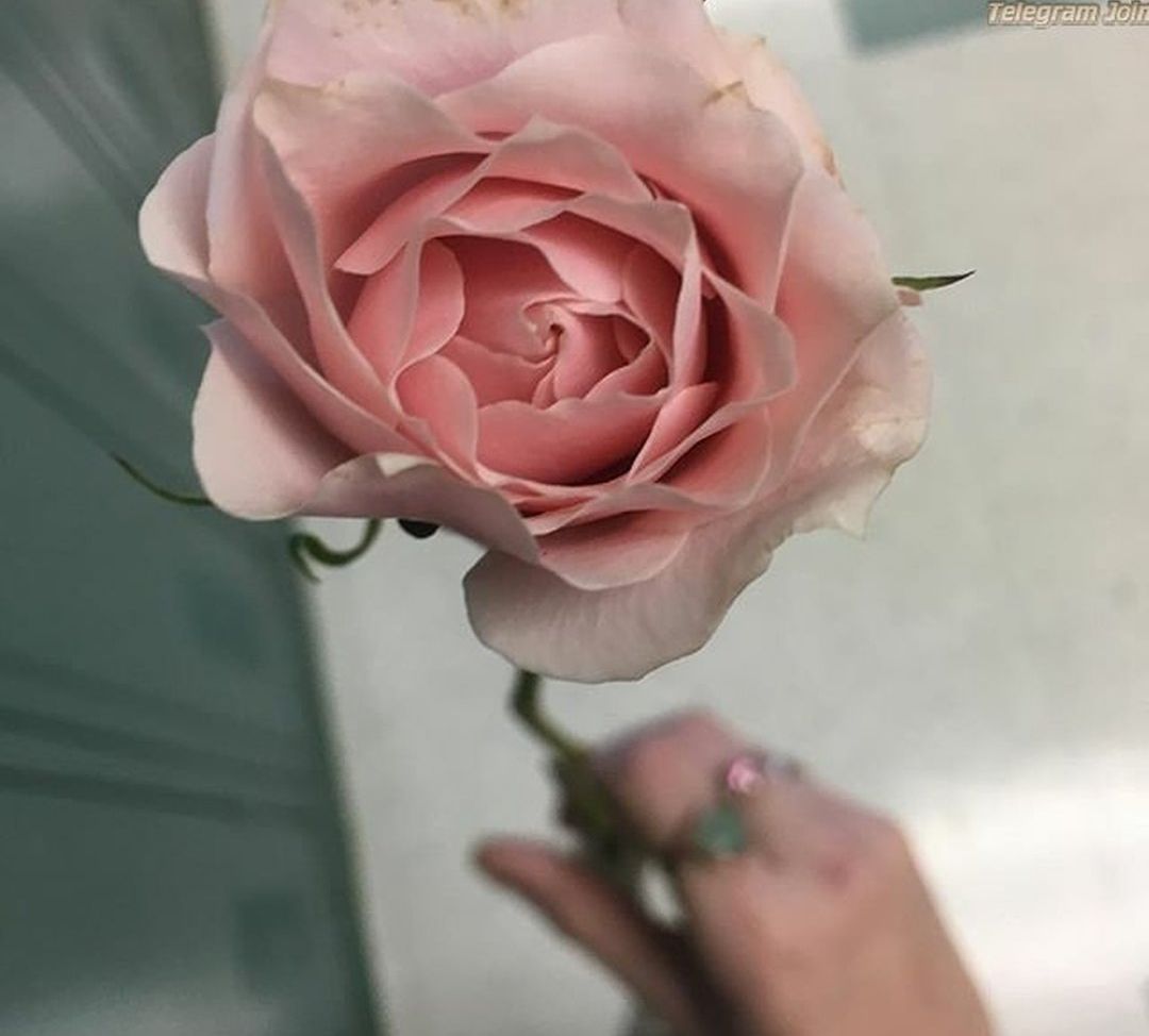 Veronica Wilson desnuda #108668156