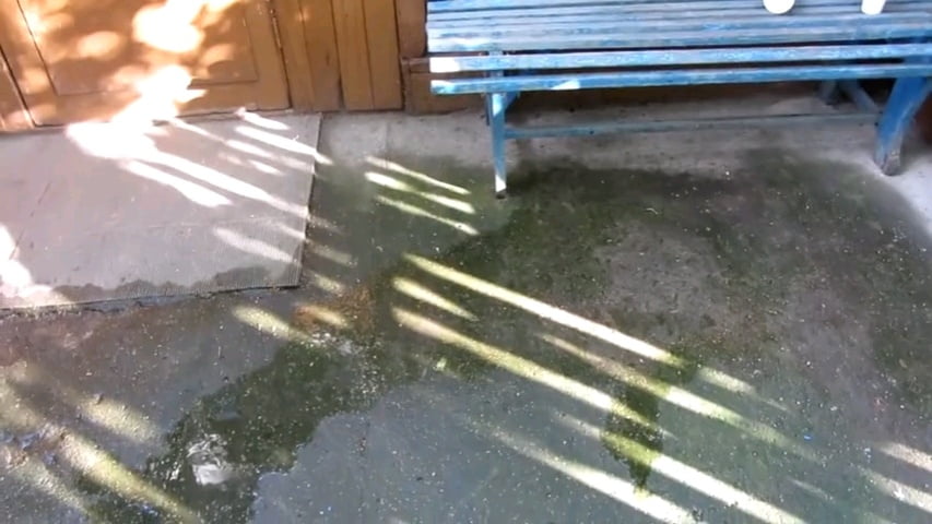 Io e mia moglie e la piscia a casa nostra #87885199
