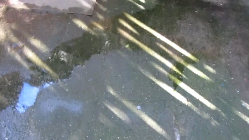 Io e mia moglie e la piscia a casa nostra #87885205