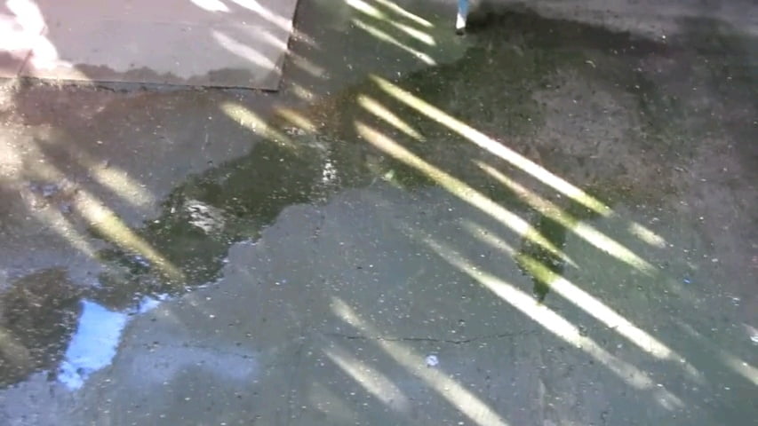 Io e mia moglie e la piscia a casa nostra #87885217