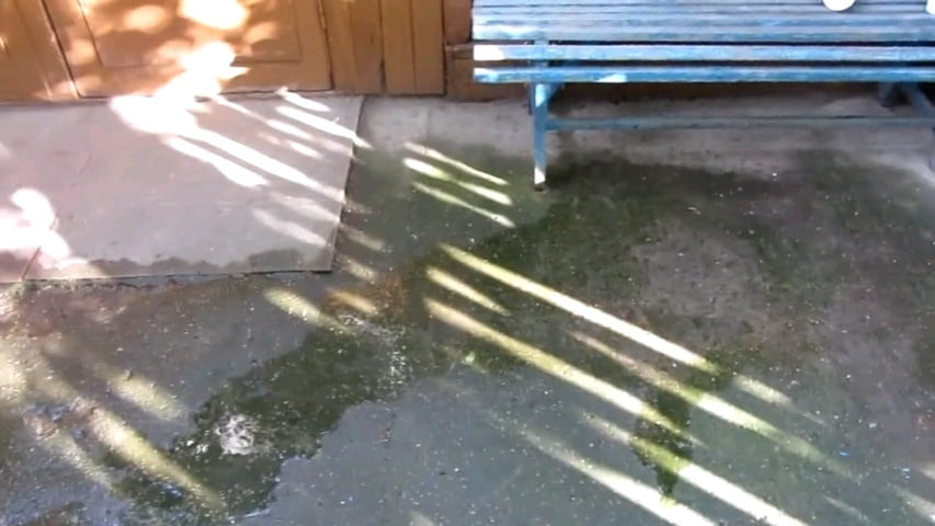 Io e mia moglie e la piscia a casa nostra #87885258