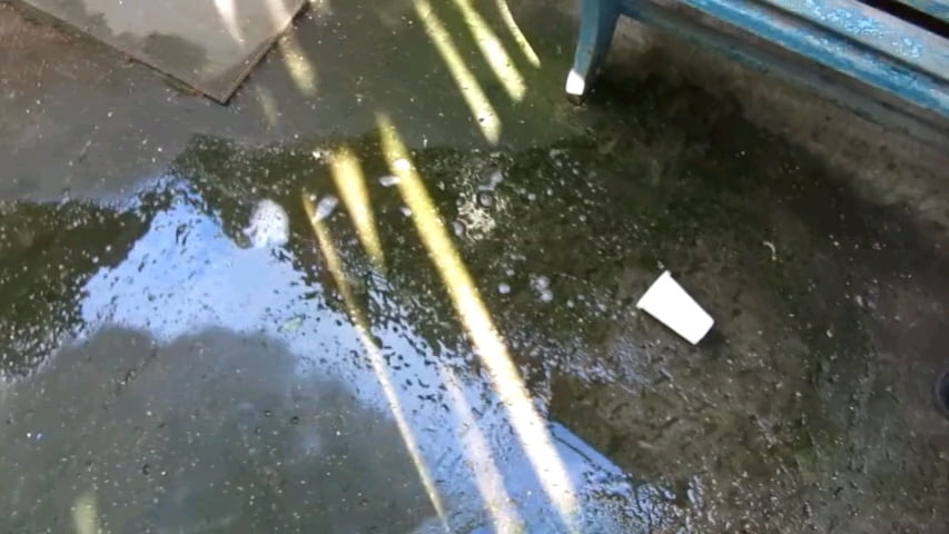 Io e mia moglie e la piscia a casa nostra #87885400