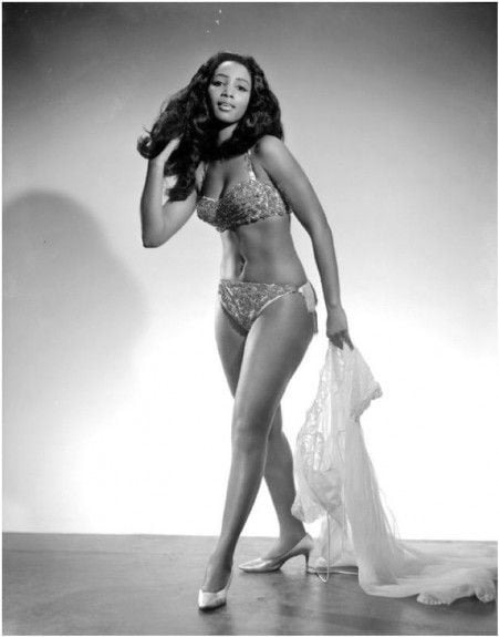 Vintage Burlesque 2 #95668004