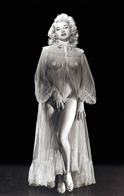 Vintage Burlesque 2 #95668100