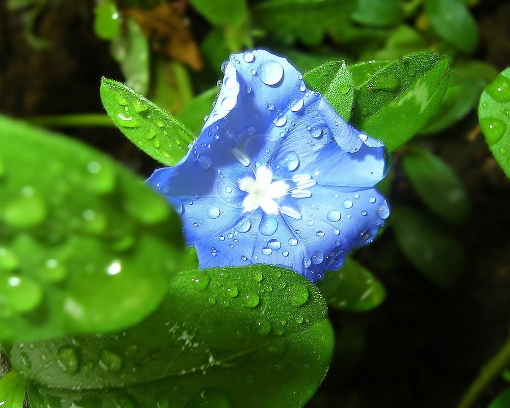 壁紙モニターのコレクション
 #90191508