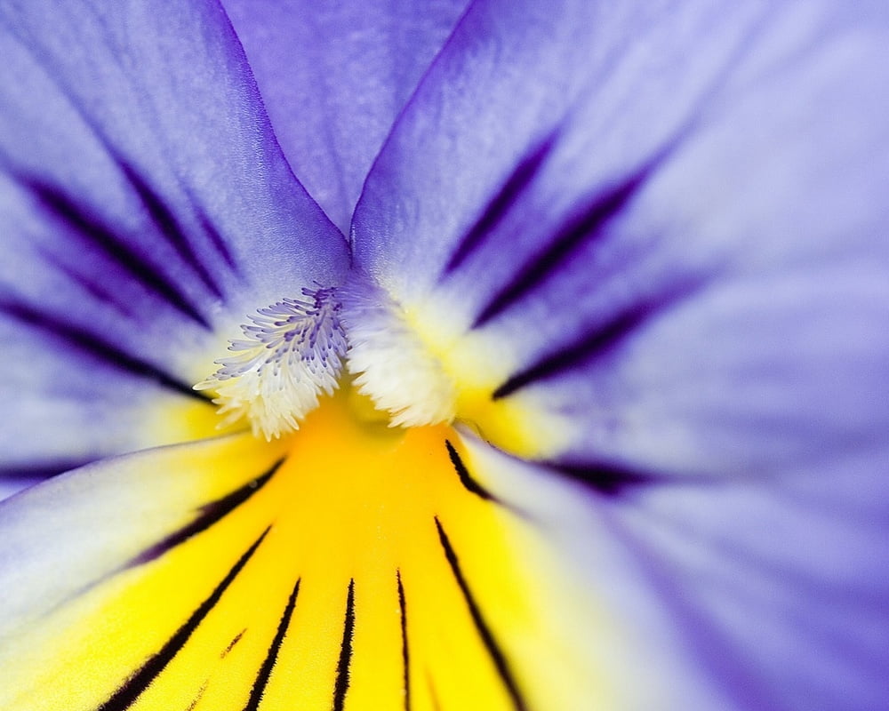 壁紙モニターのコレクション
 #90191571