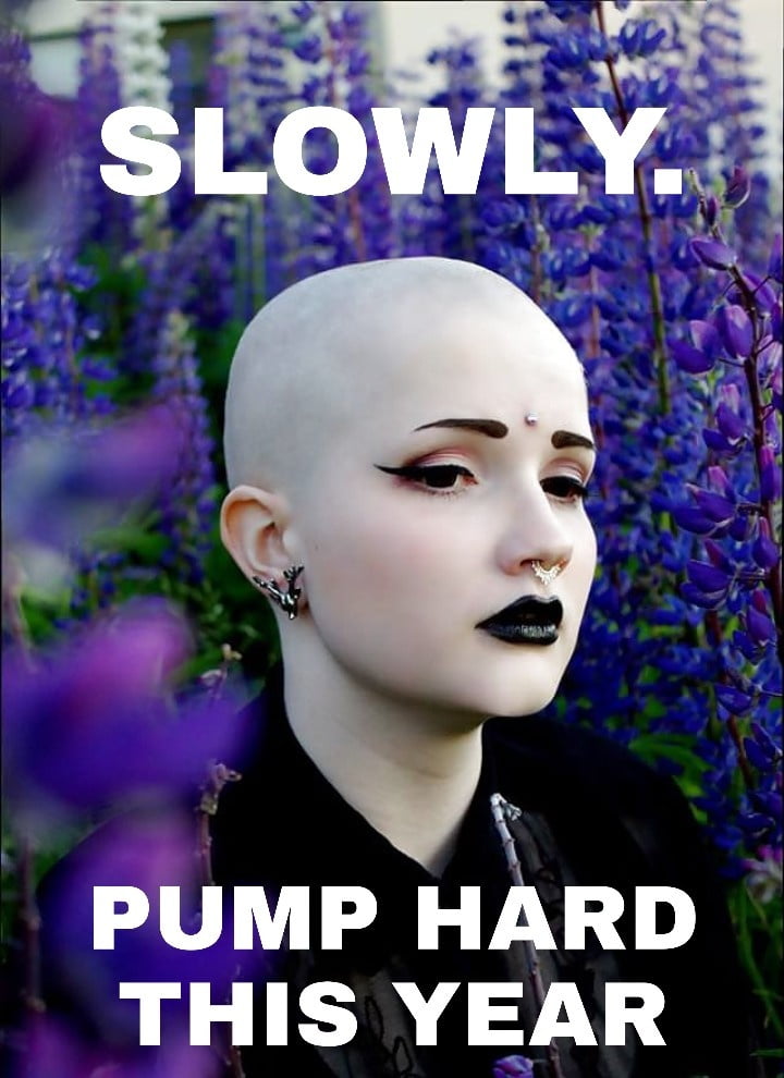 Montar el borde
 #101178535