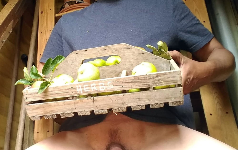 Apples from my garden #82058134