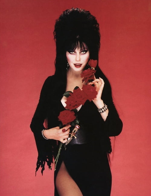 Cassandra peterson aka elvira--mistress of the dark!
 #88807372