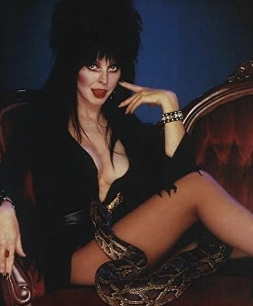 Cassandra peterson aka elvira--mistress of the dark!
 #88807529