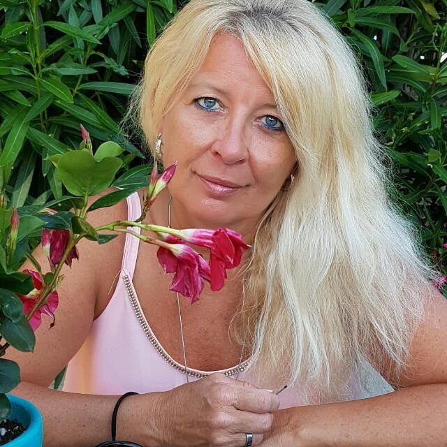 Kreuzfahrer
 #91396866