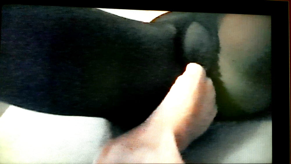 Das harte Leben einer Ehehure ...
 #92898604